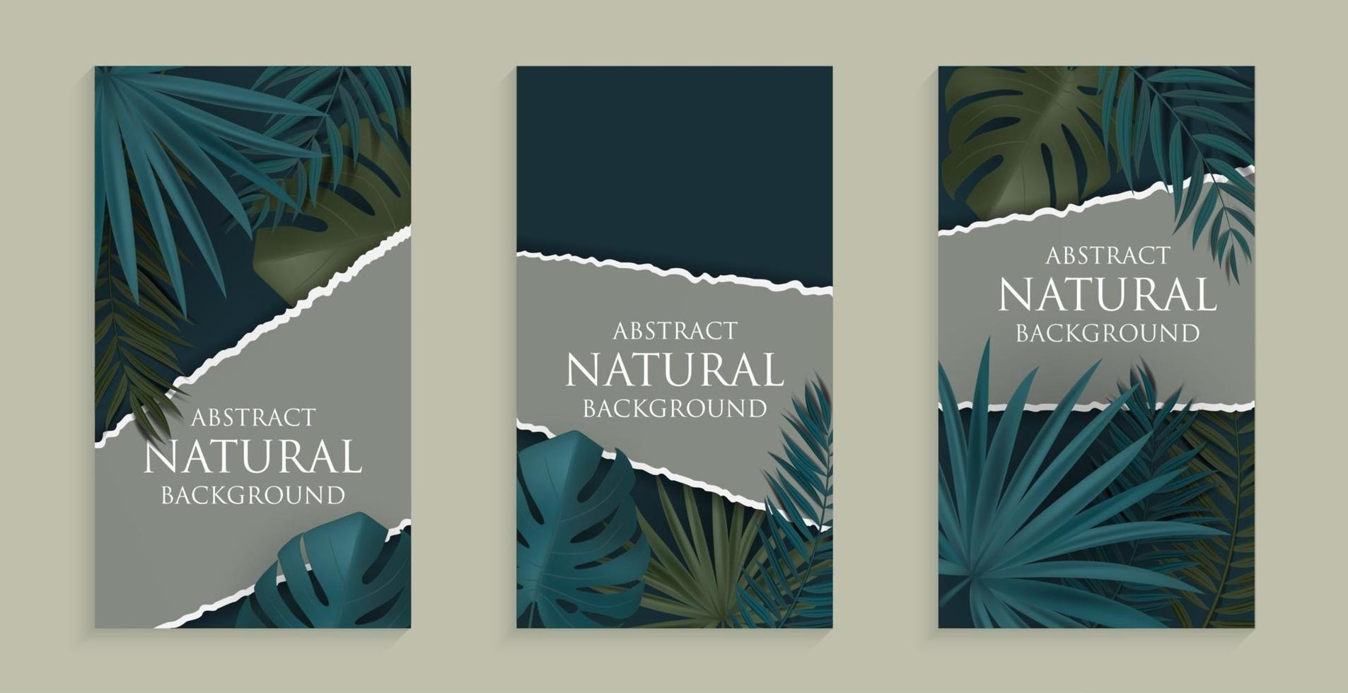 Fondo natural abstracto con palmeras tropicales y hojas de monstera. ilustración vectorial eps10 vector