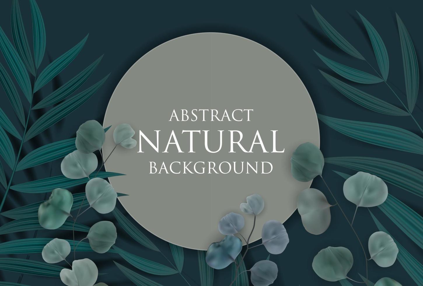 Fondo natural abstracto con palmeras tropicales, eucaliptos, hojas de monstera y marco. ilustración vectorial vector