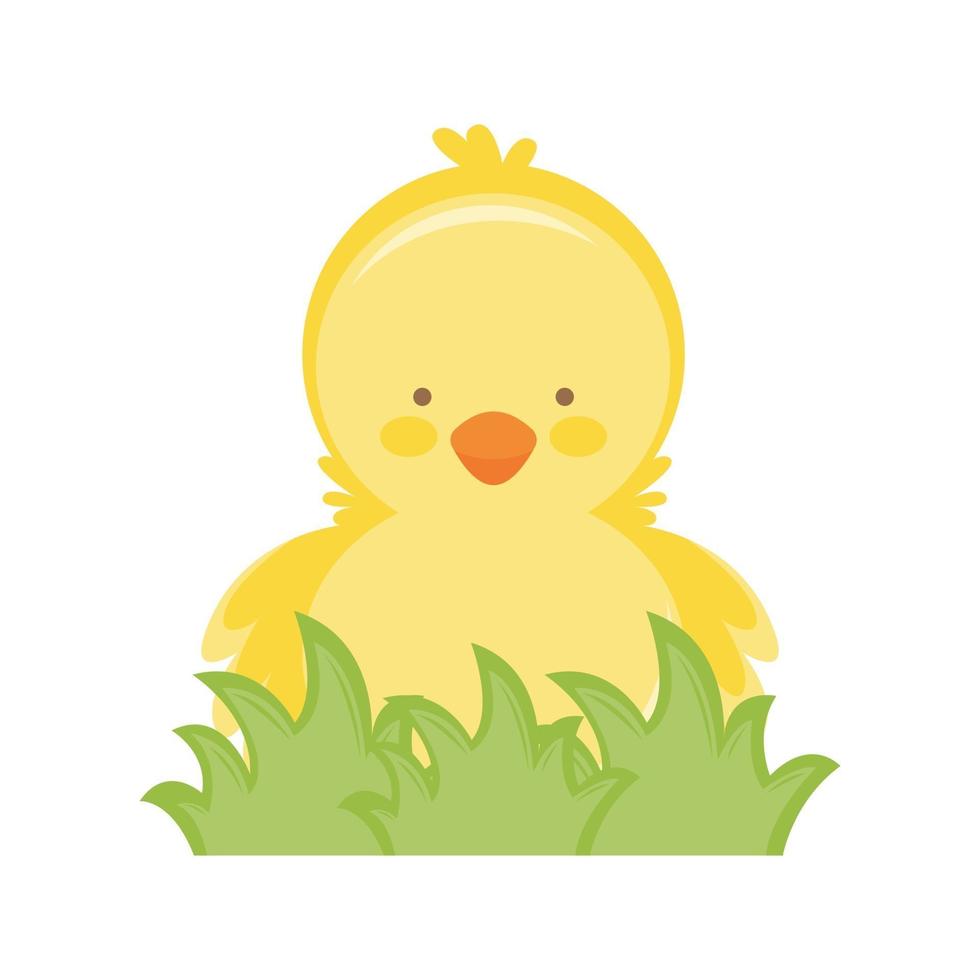 pollito amarillo en la hierba vector