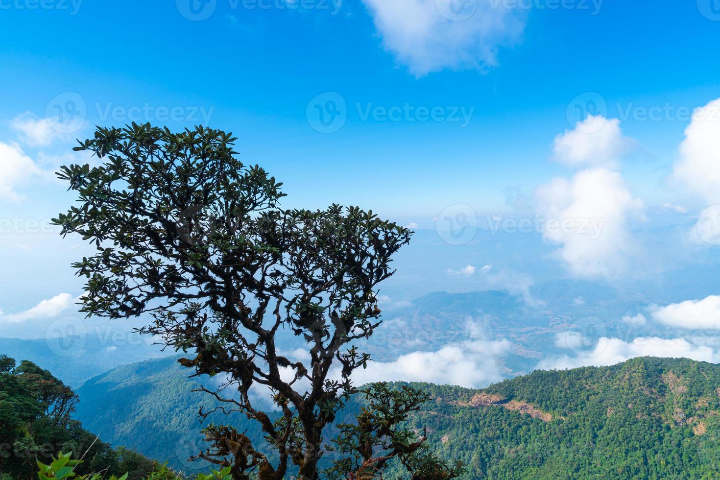 Hermosa capa de montaña con nubes y cielo azul en el sendero natural de kew mae pan en chiang mai, tailandia foto