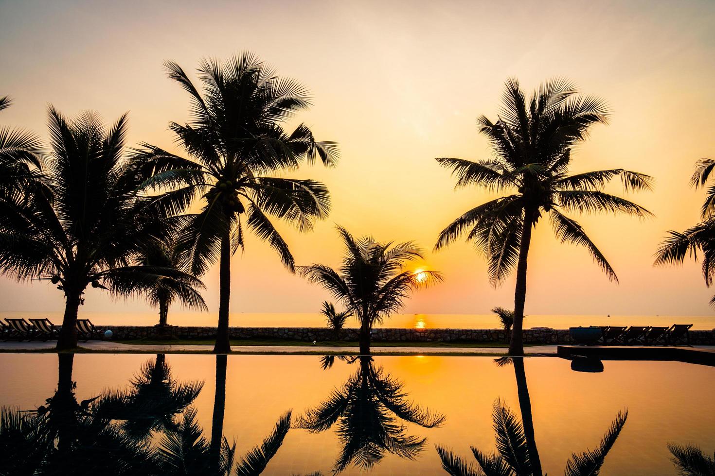 Silhouette coconut palm tree around outdoor swimming pool photo