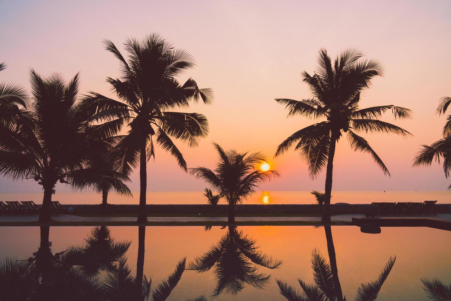 Silhouette coconut palm tree around outdoor swimming pool photo