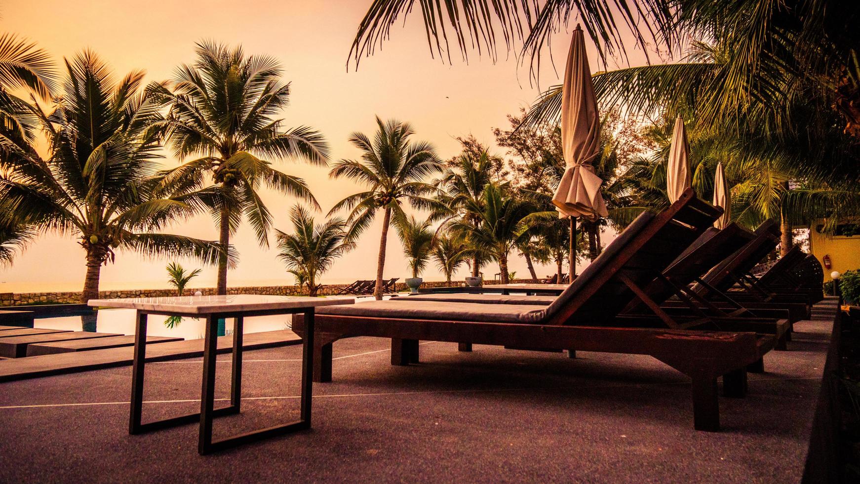 Silhouette coconut palm tree around outdoor swimming pool photo