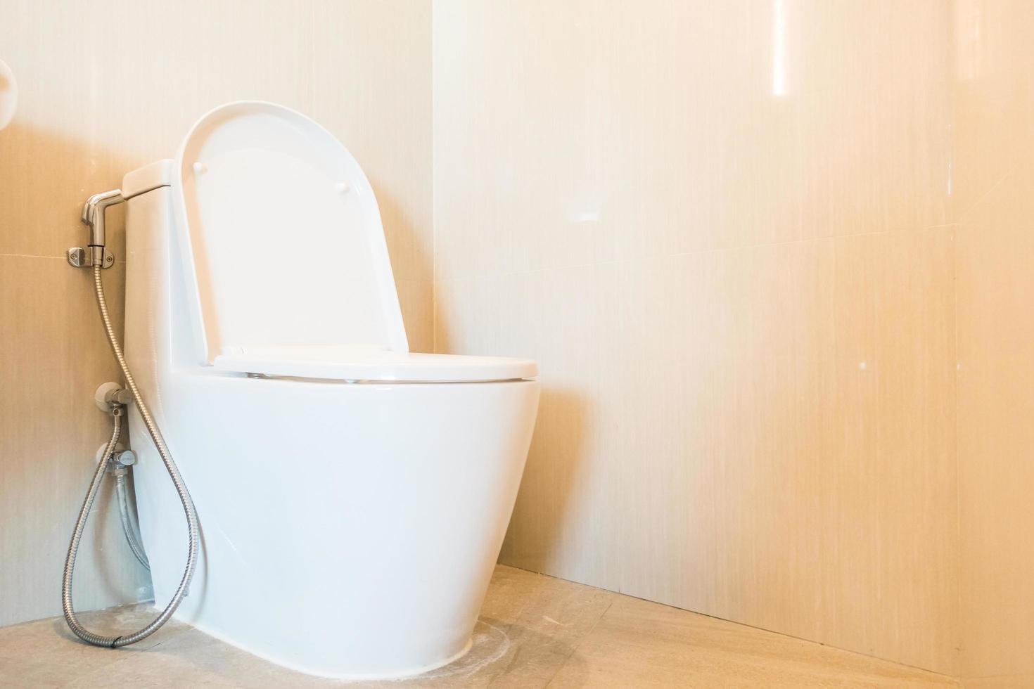 White toilet bowl seat photo