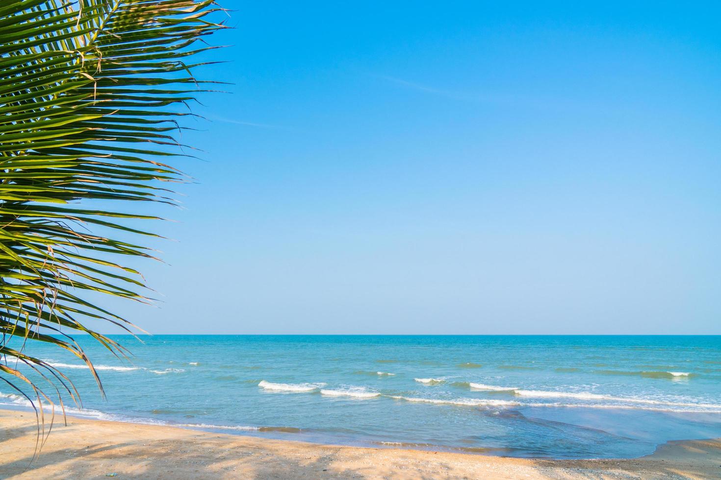 Sea and beach photo