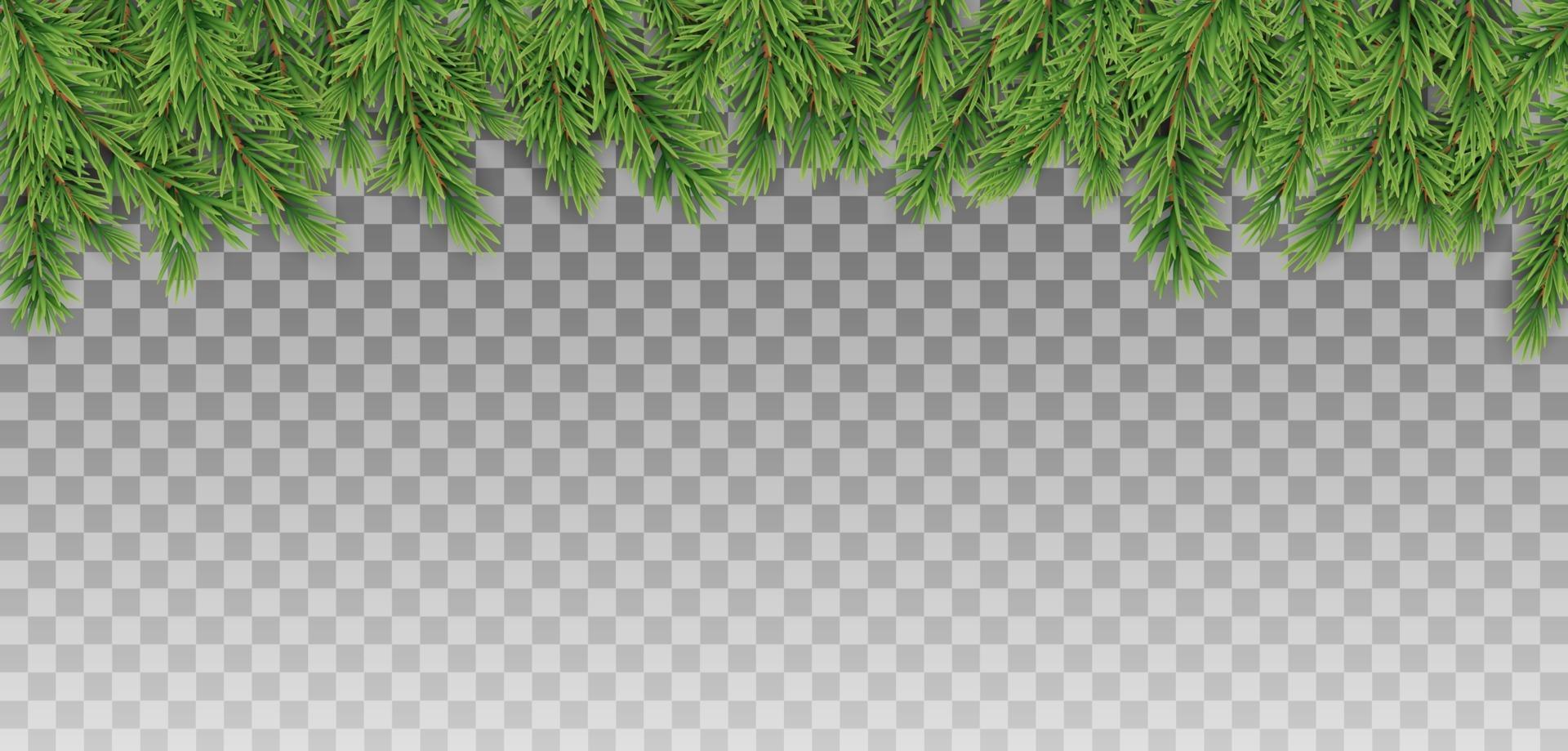 Christmas Tree Branches for Merry Christmas and Happy New Year posters. Vector illustration