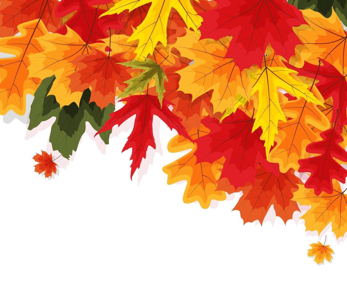 Autumn Natural Leaves Background. Vector Illustration