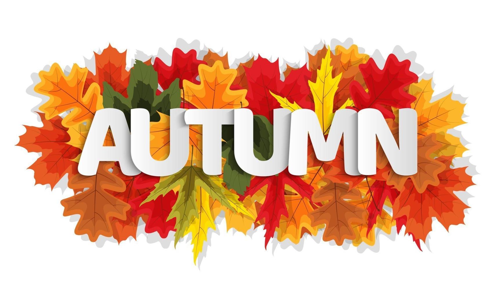 Autumn Natural Leaves Background. Vector Illustration
