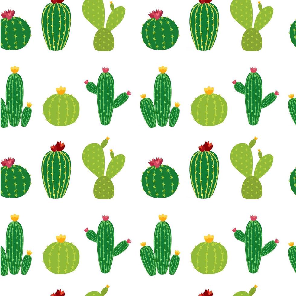 Cactus Icon Collection Seamless Pattern Background Vector Illustration