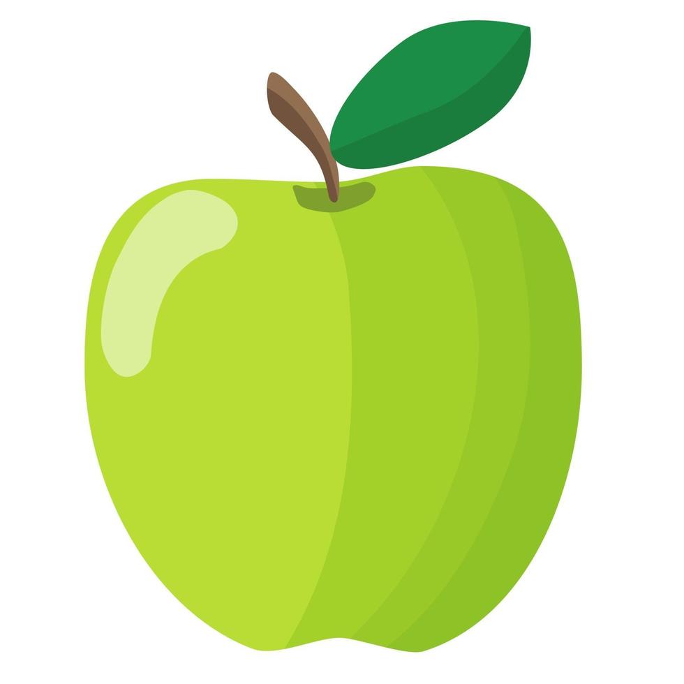 vector objeto aislado ilustración fruta manzana verde