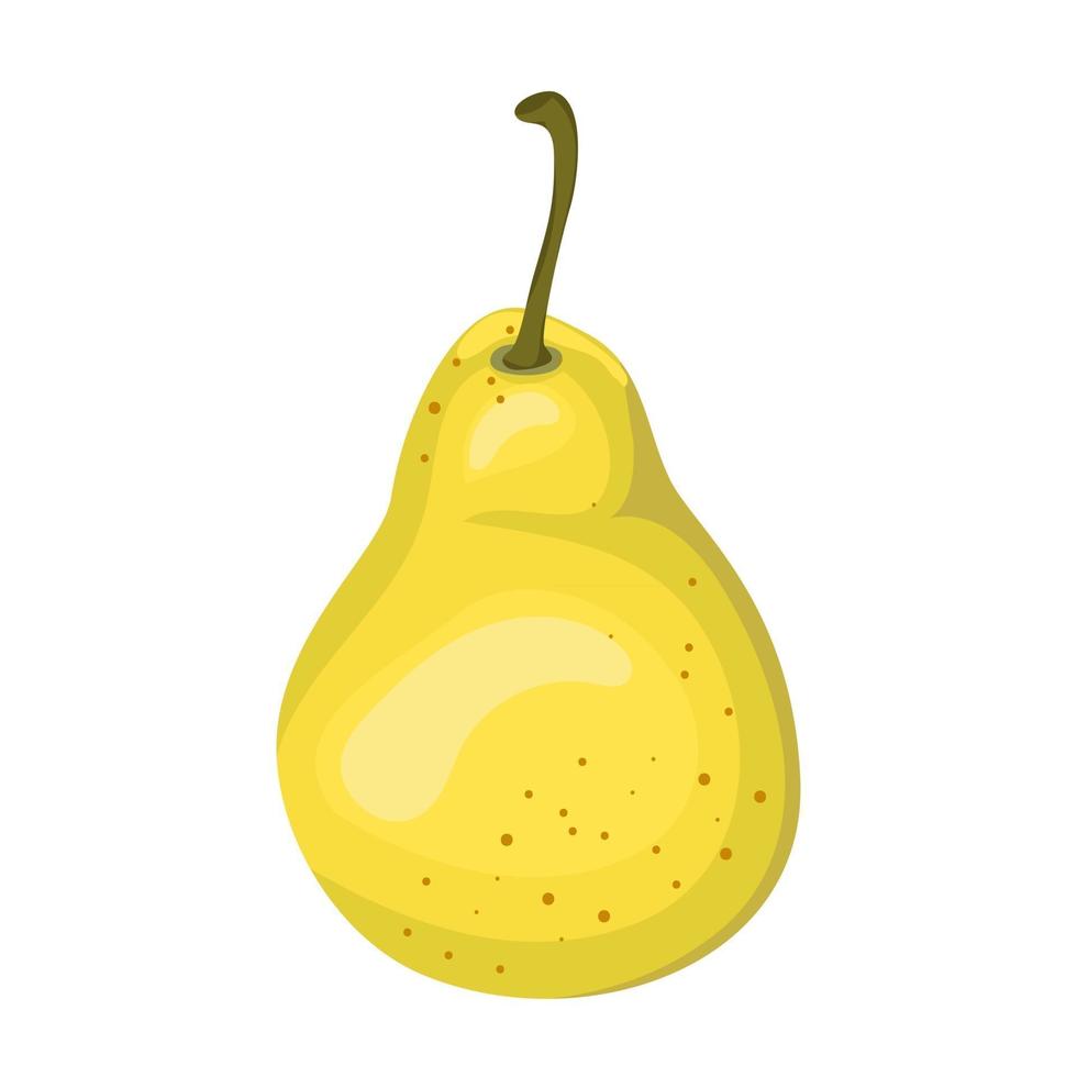 ilustración vectorial de dibujos animados objeto aislado comida fresca fruta seckel pera vector