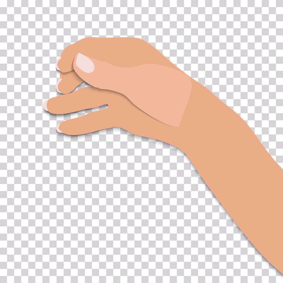 Flat- hand of man holds presumed glass of alcoholic beverage on transparent background. Vector Illustration