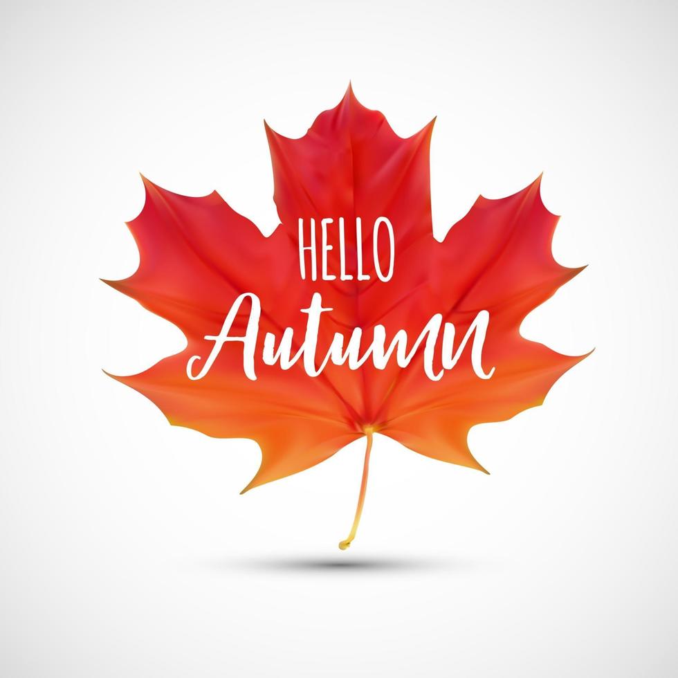 Shiny Hello Autumn Natural Leaves Background. Vector Illustration