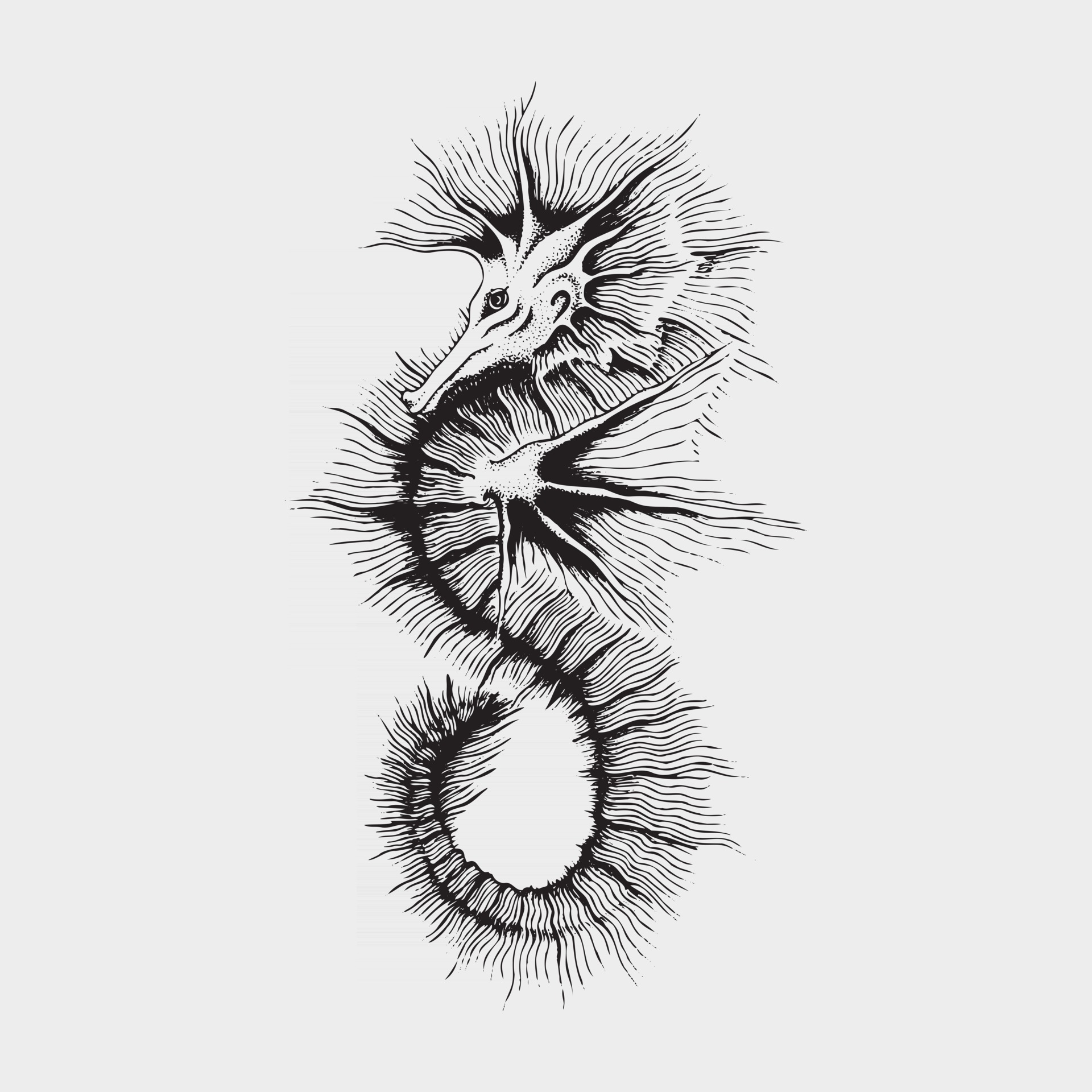 Cavalo marinho  Seahorse tattoo, Seahorse drawing, Animal drawings