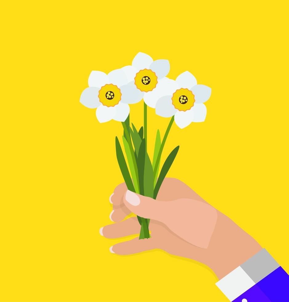 La mano de un hombre sostiene la ilustración de vector de fondo de flores de narciso de primavera