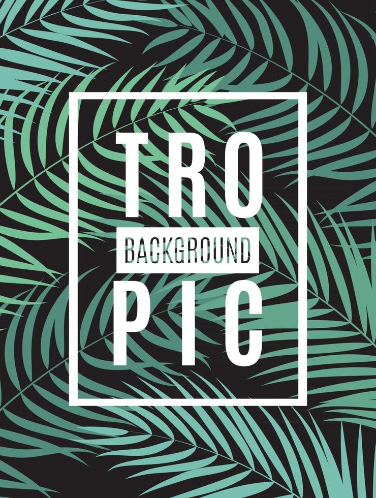 Beautifil Palm Tree Leaf Tropical Silhouette Background Vector Illustration