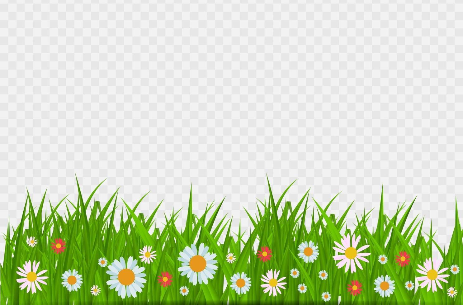 BrighGrass and flowers border, greeting card decoration element for Easter on a Transparent Background. Vector Illustrationt Juicy Green Grass on a Transparent Background. Vector Illustration.