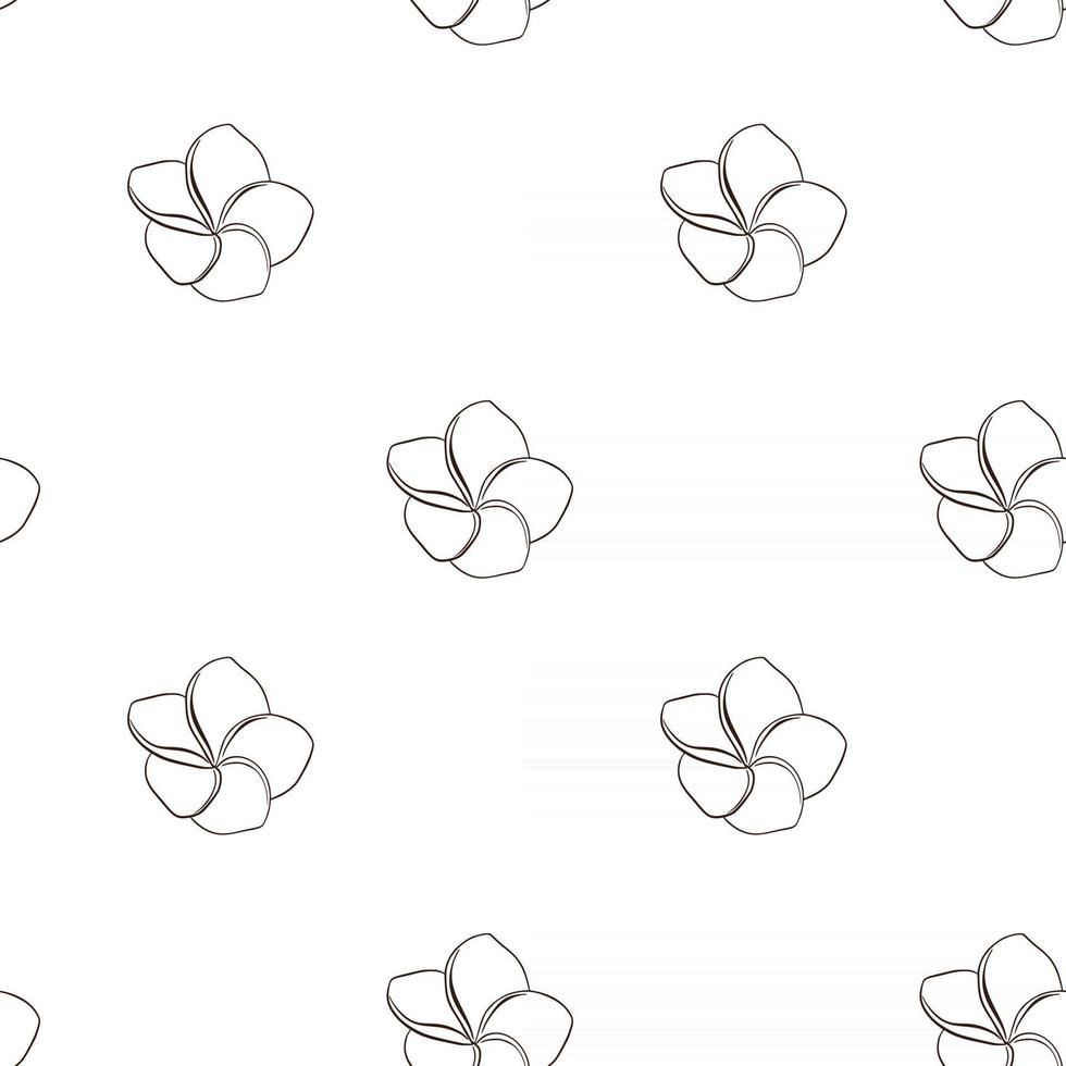 Line Art Exotic Plumeria Flowers Seamless Pattern vector