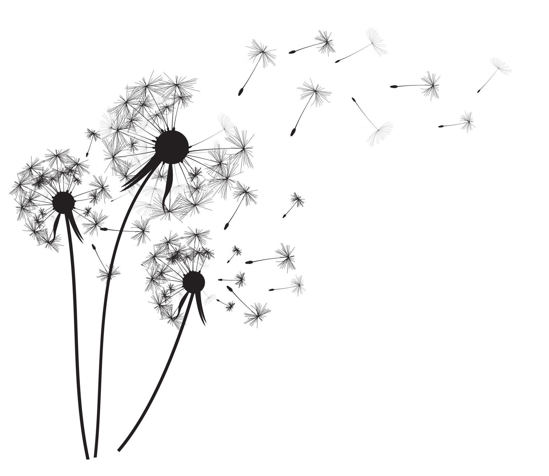 Abstract dandelion background vector illustration 2798764 Vector Art at.