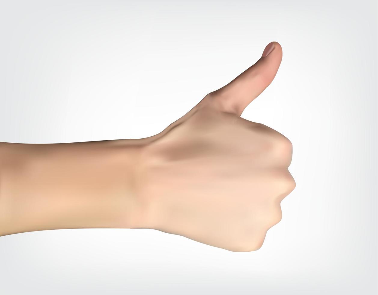 Realistic hand with thumb up designating all is well. Vector Illustration