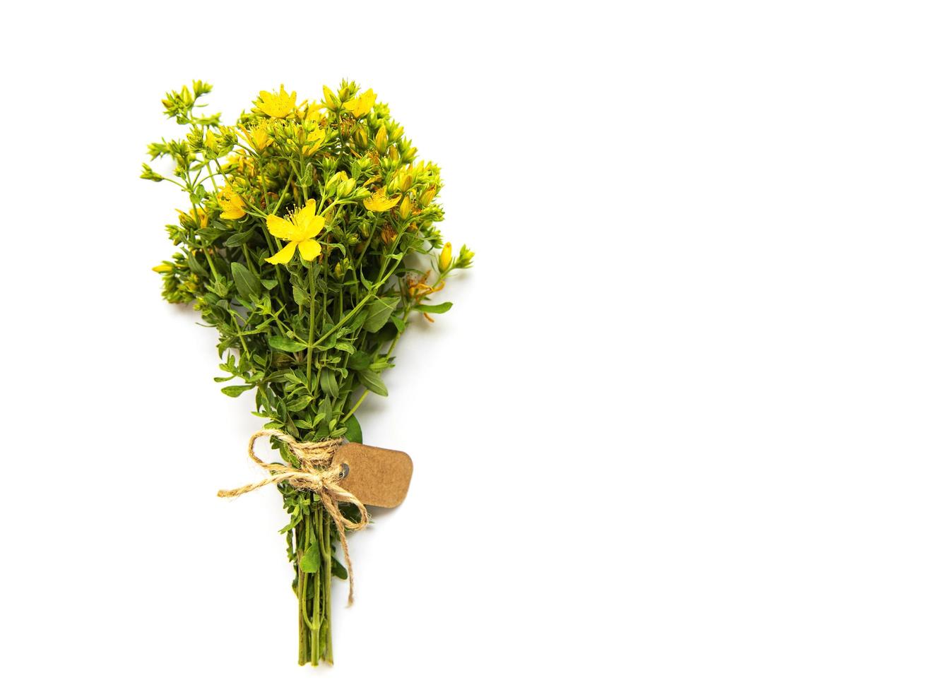 Bunch of St. John's wort on a white photo