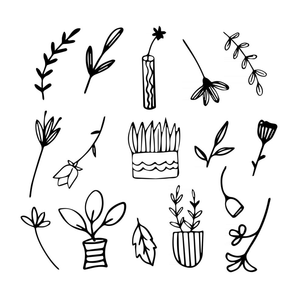 Set of Hand-drawn Flowers, Leaves and Plants vector