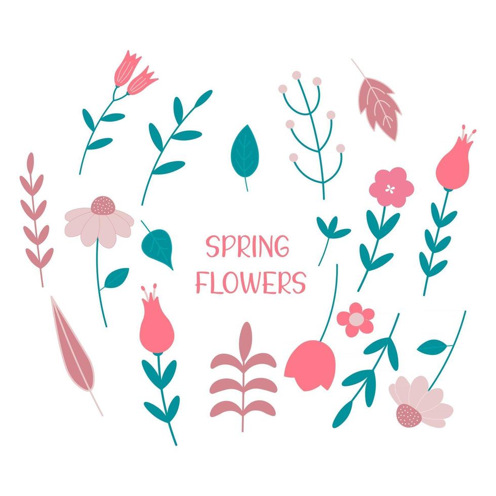 Set of Spring Flowers and Leaves Flat Vector Illustration