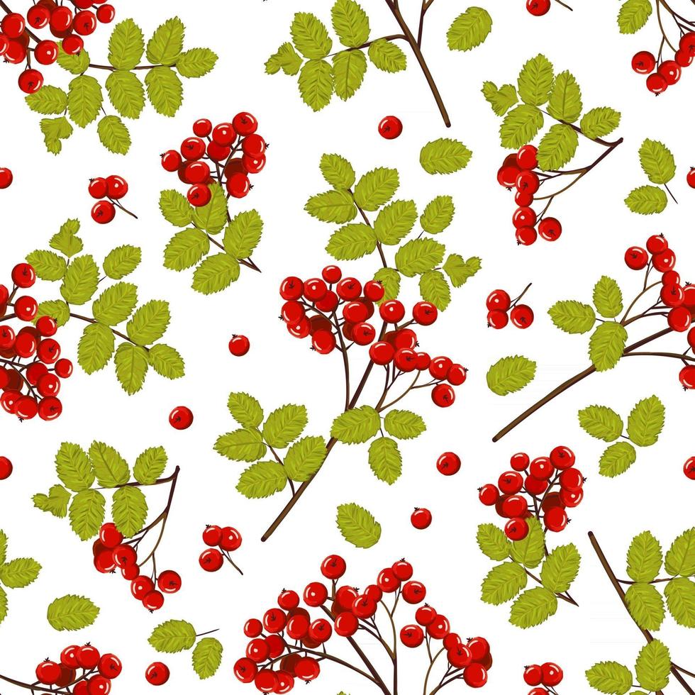 Branches seamless pattern with red rowan berries and green leaves. Vector natural background