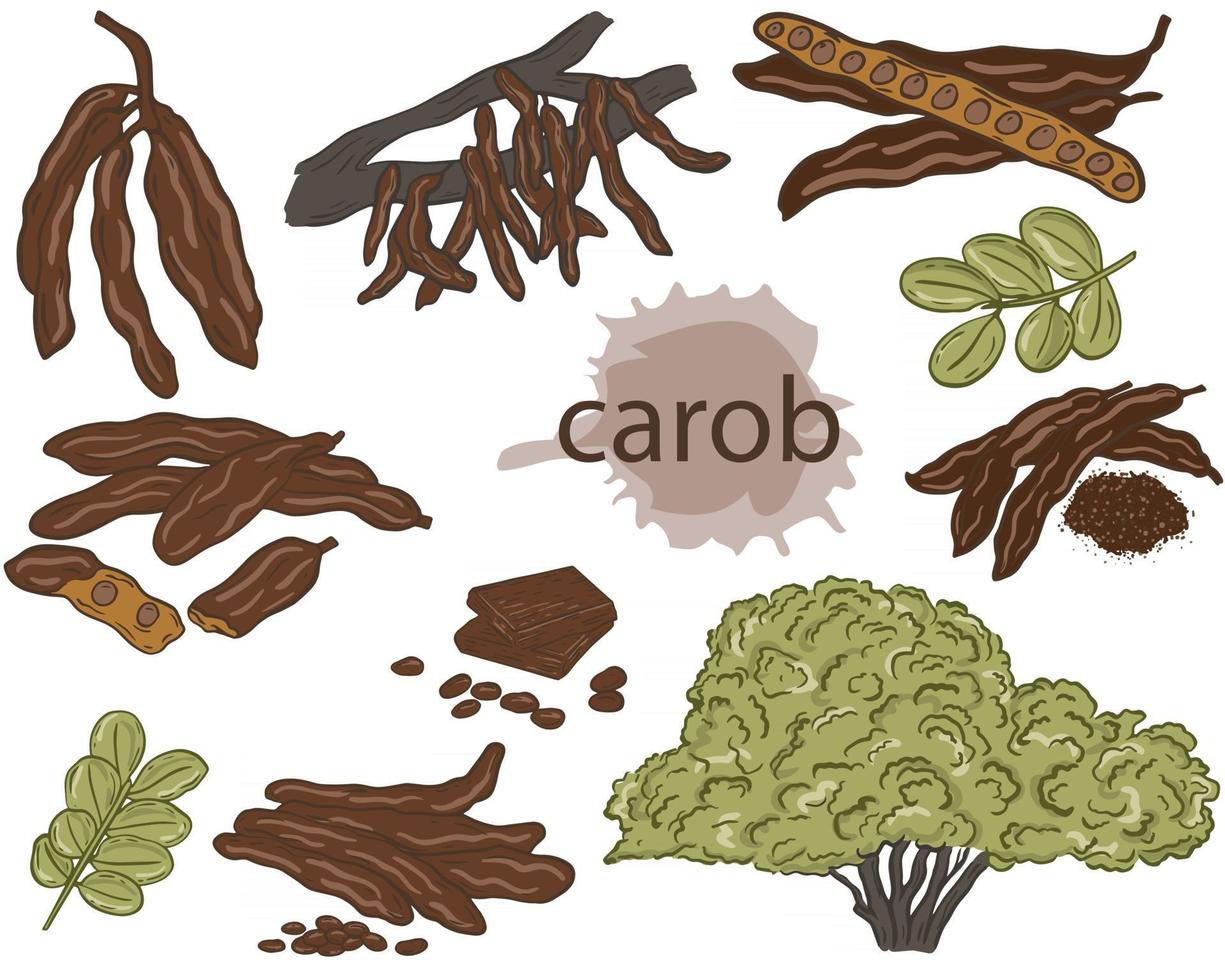 Set of carob vector