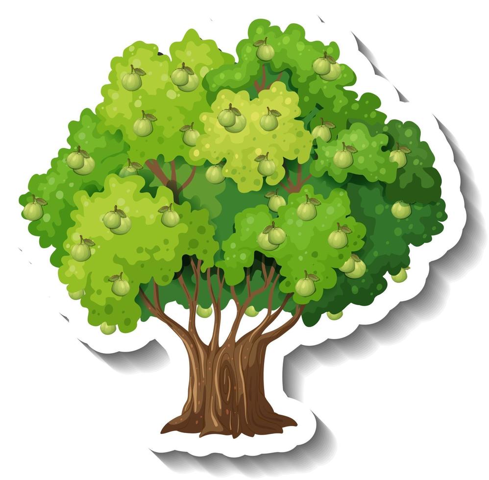 Guava tree sticker on white background vector