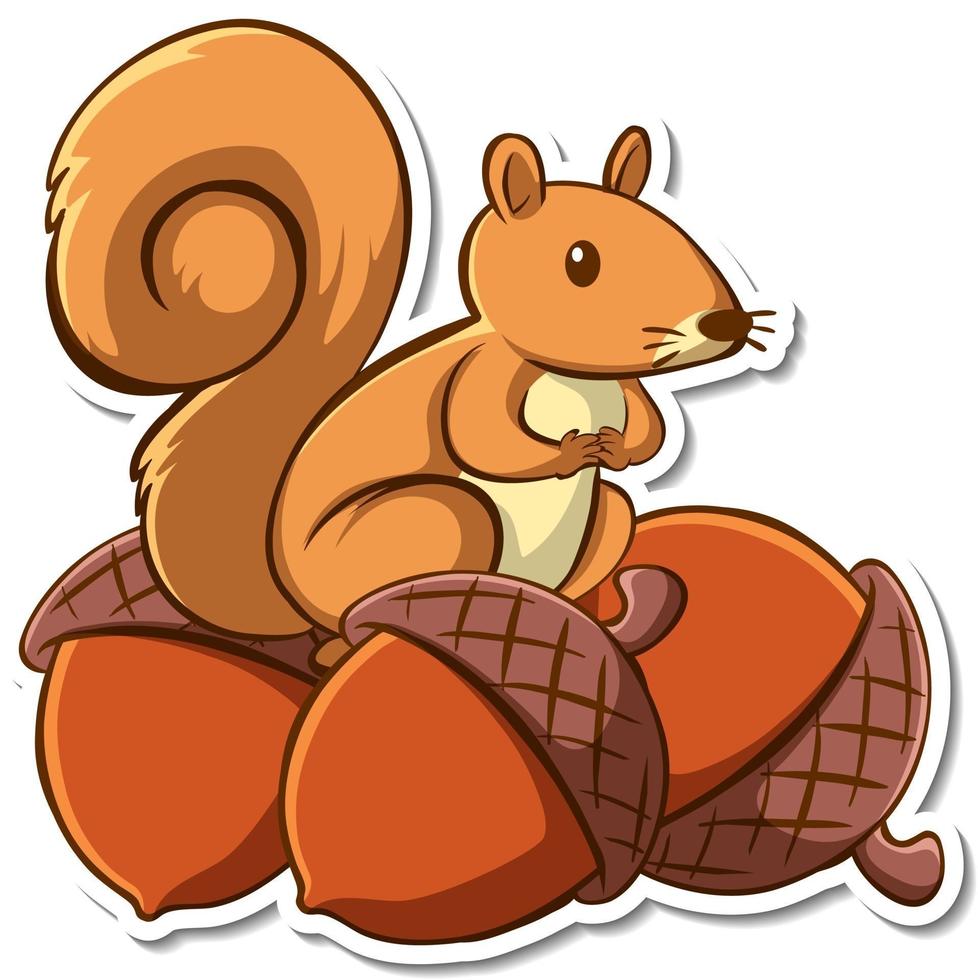 Sticker design with a squirrel on many acorns isolated vector