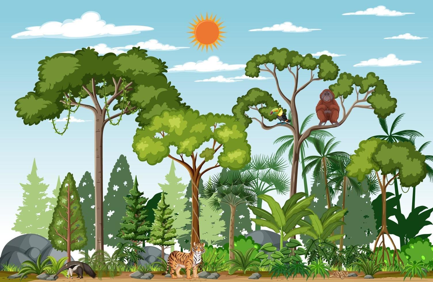 Forest scene with different wild animals vector