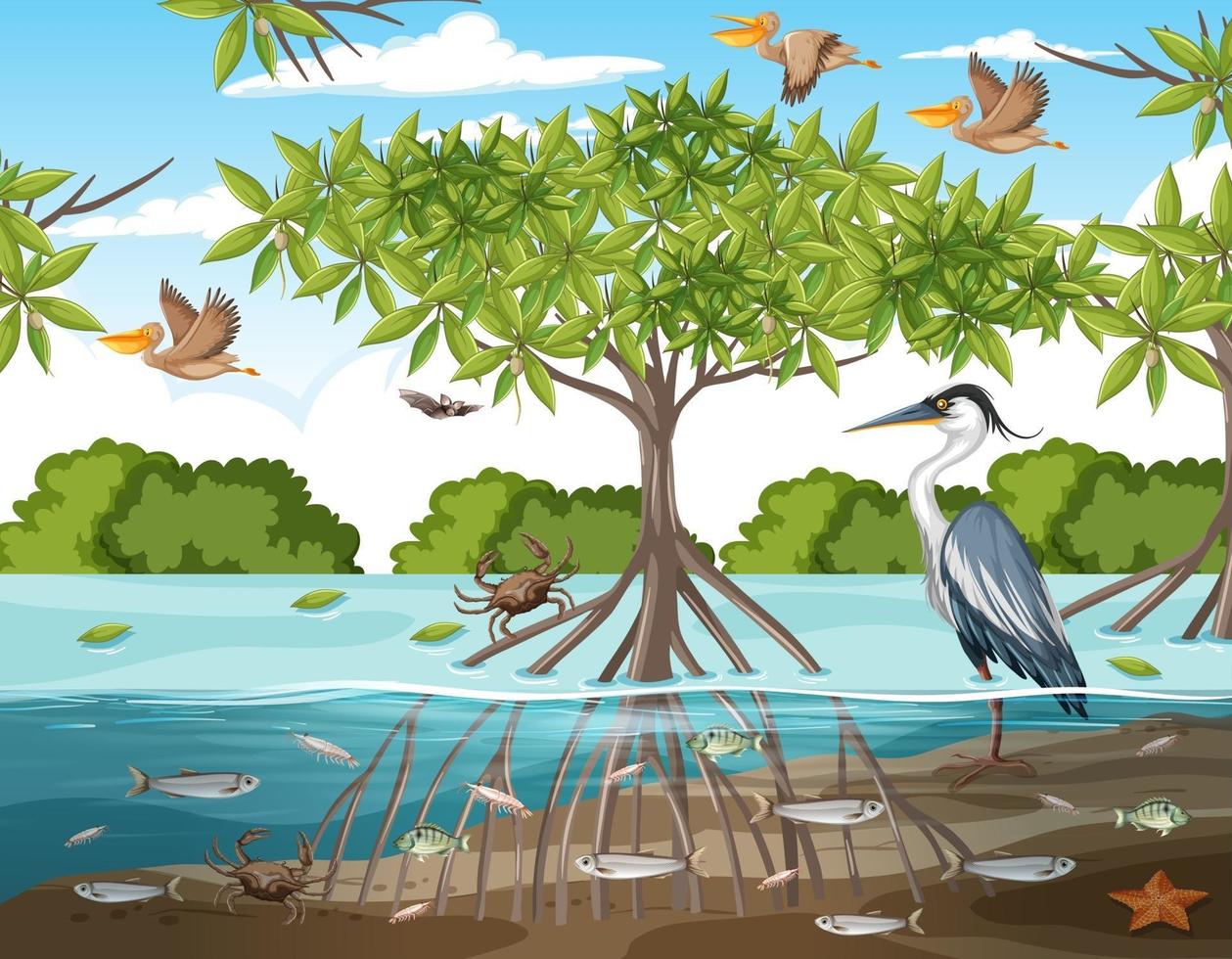 Mangrove forest scene at daytime with animals vector