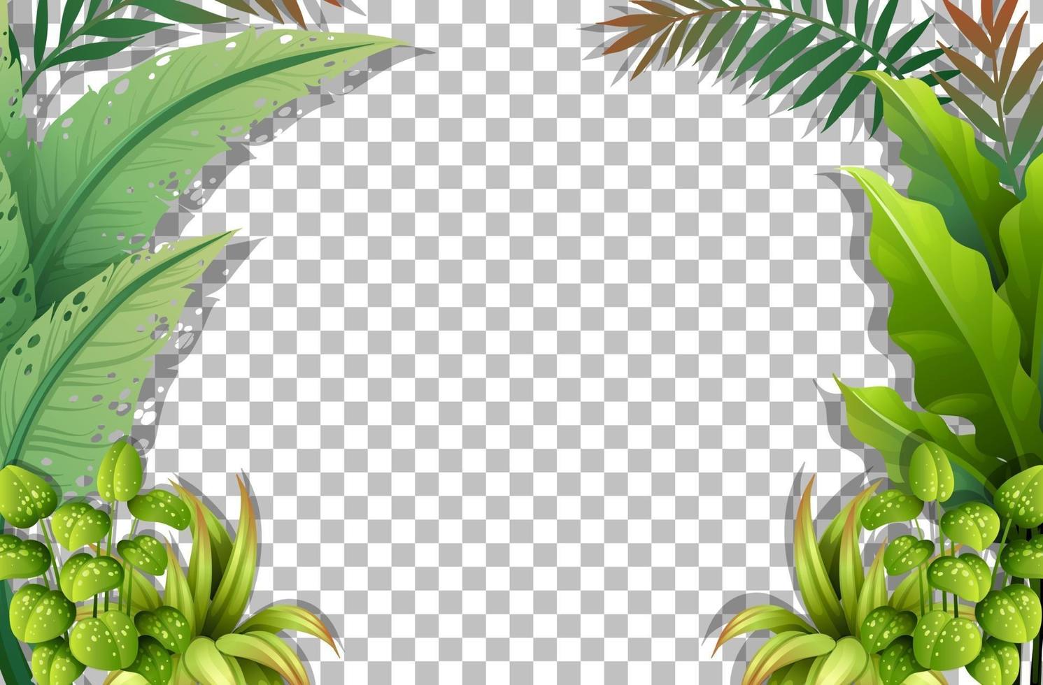 Tropical leaves frame template vector