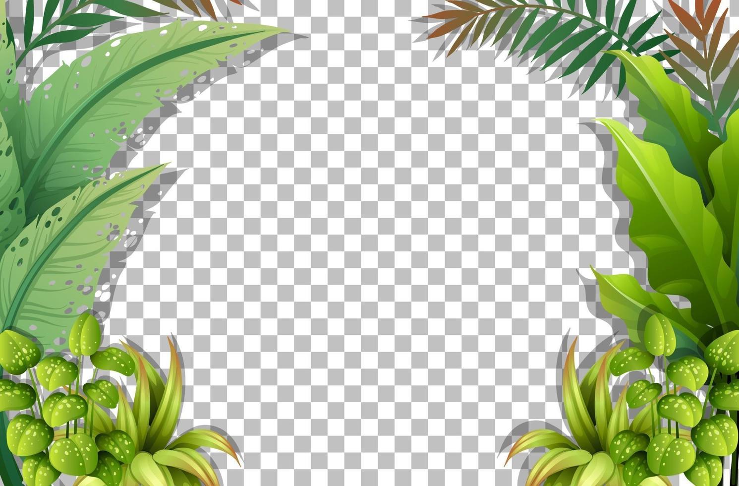 plantilla de marco de hojas tropicales vector