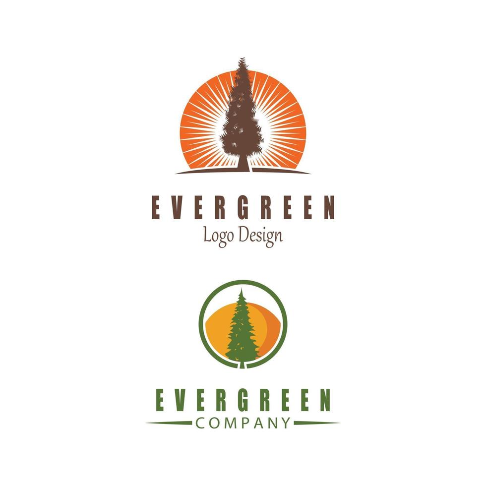 pine evergreen fir hemlock spruce conifer cedar Christmas tree Logo design vector