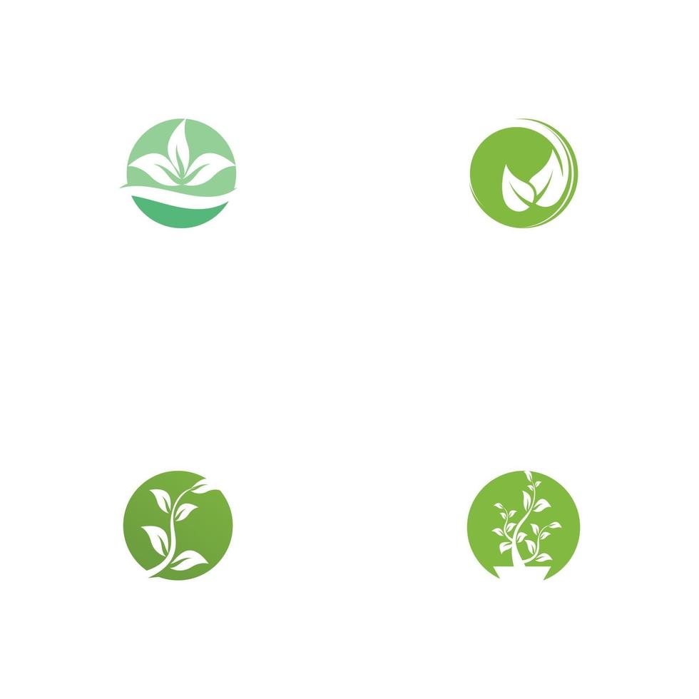 Establecer hoja logotipo plantilla vector símbolo naturaleza