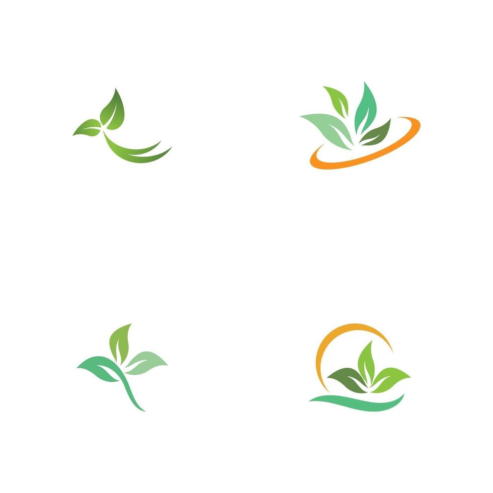 Establecer hoja logotipo plantilla vector símbolo naturaleza