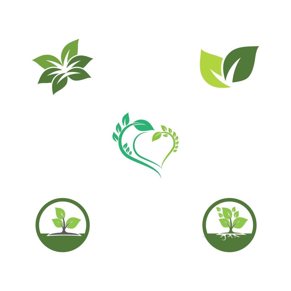 Establecer vector de plantilla de logotipo de ecología de hoja