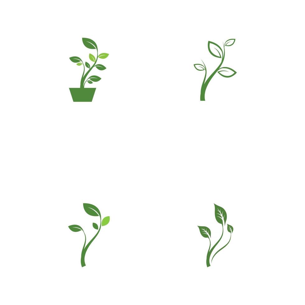 Set Leaf  ecology Logo Template vector symbol nature