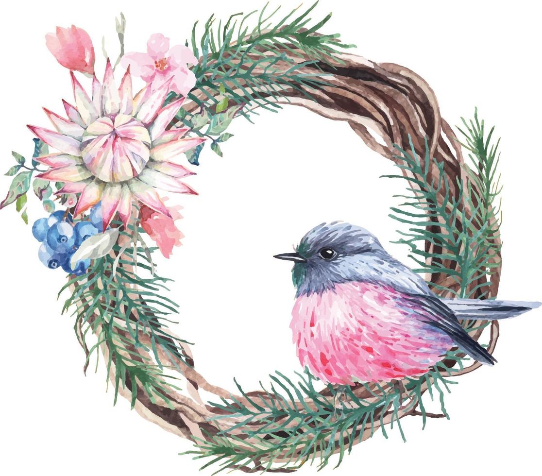 Pink Robin illustration painted with watercolor vector
