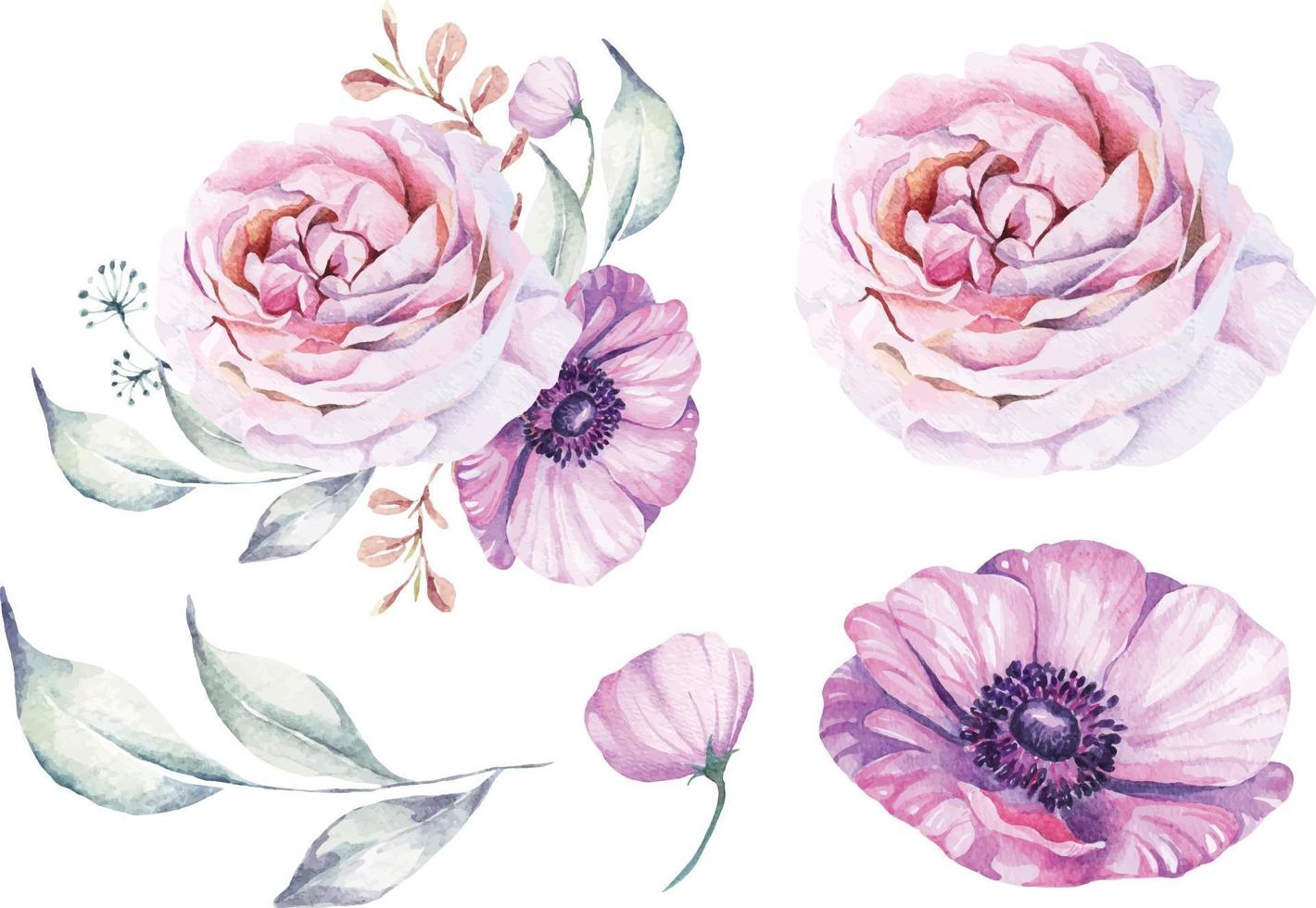 Elegant watercolor rose composition vector