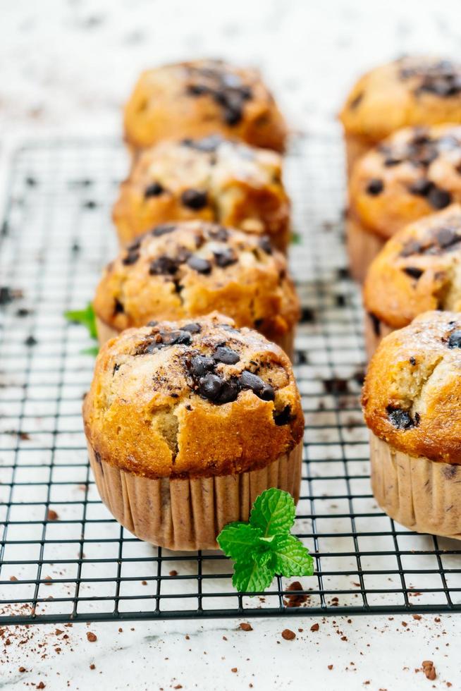 Chocolate chip muffin photo