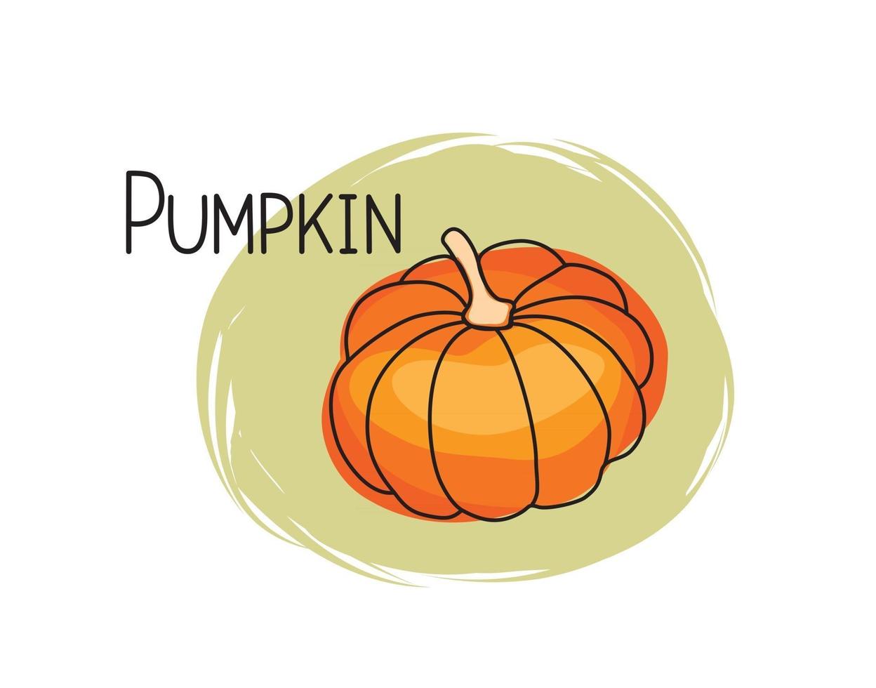 Pumpkin icon. Full fruit pumpkin isolated on white background with lettering Pumpkin. Vegetable stylish drawn symbol Pumpkin vector