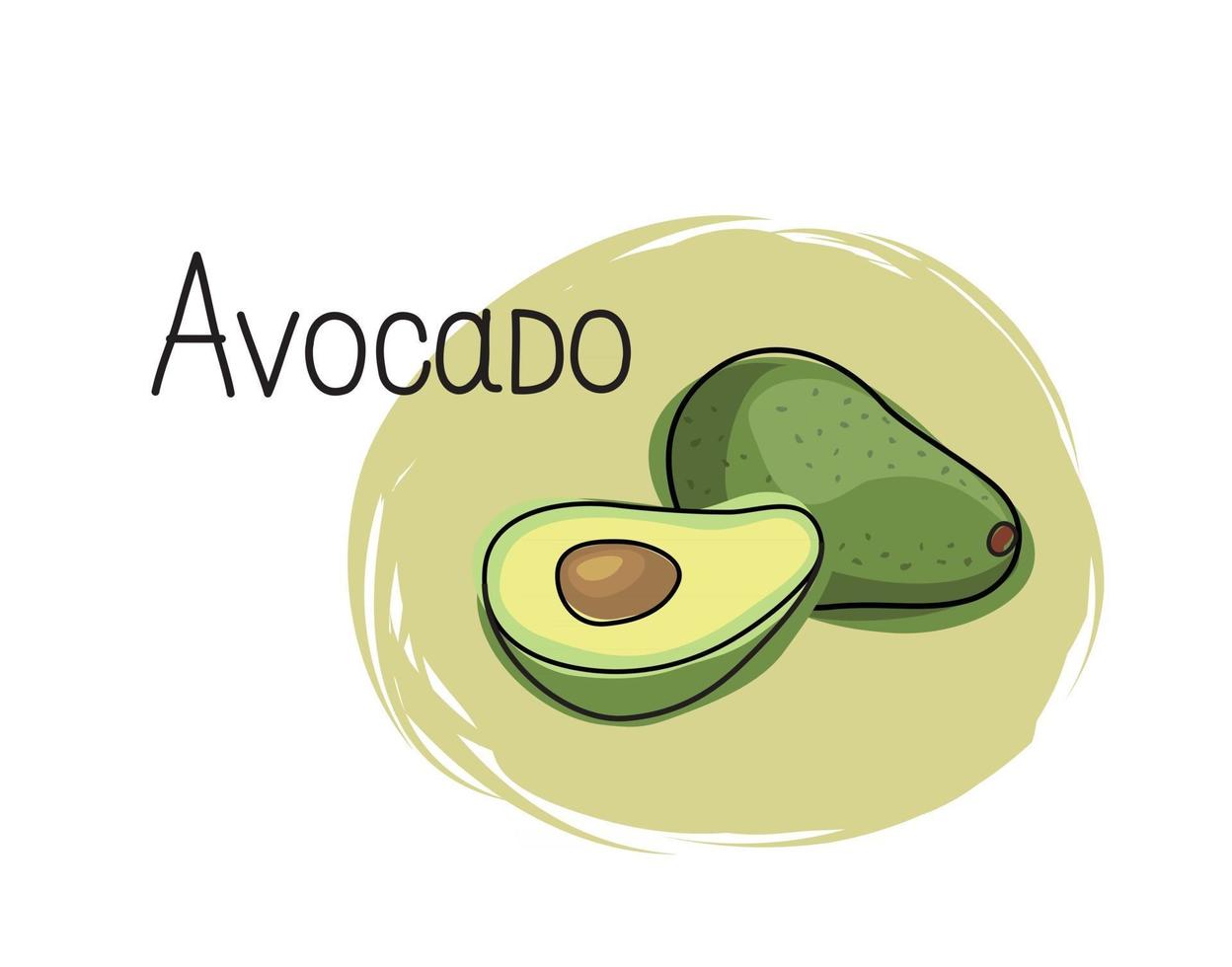 Avocado icon. Half and full fruit avocado isolated on white background with lettering Avocado. Vegetable stylish drawn symbol avocado vector
