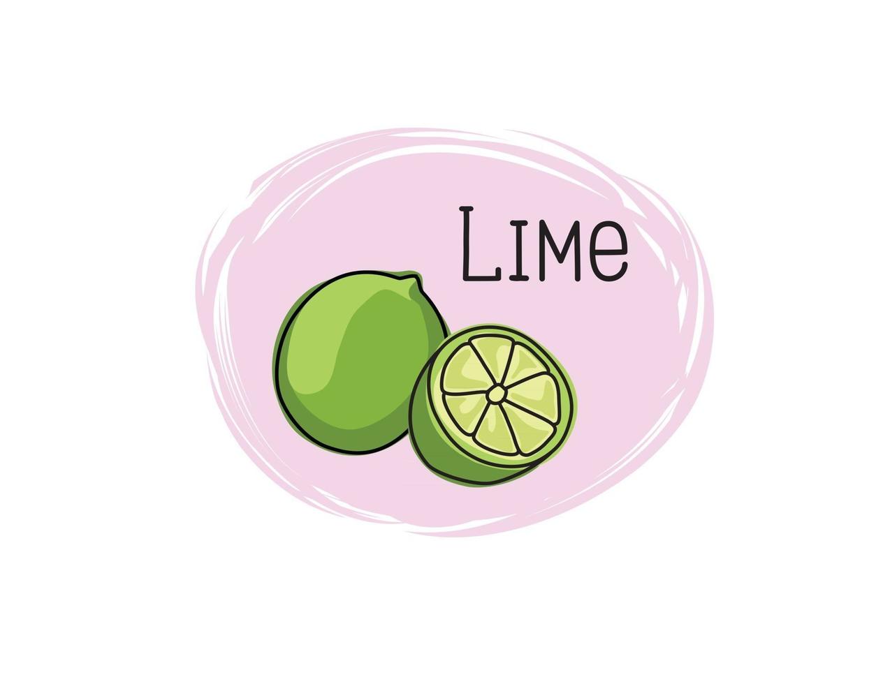 Lime icon. Half and full lime slice green illustration lemon isolated half fruit lime. Fresh green cut citrus icon. vector