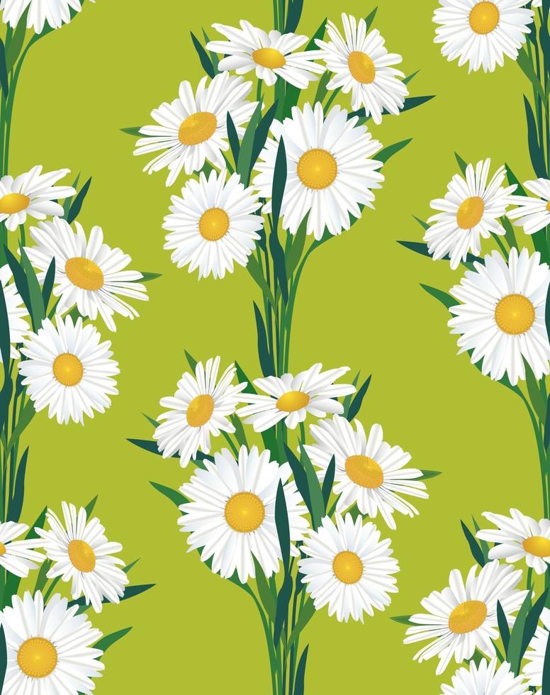 Floral pattern. Flower chamomlie seamless background. Flourish ornamental garden vector