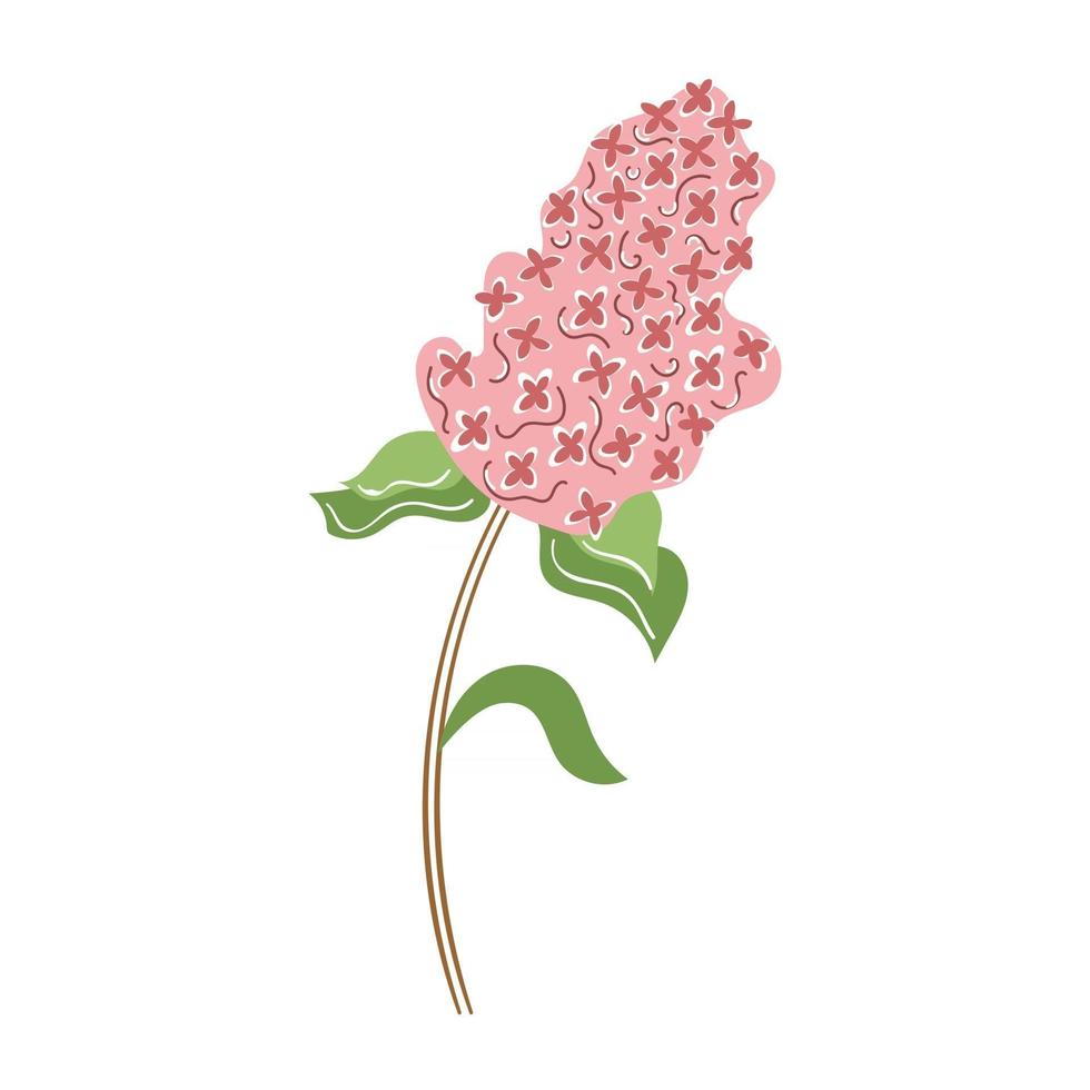 Hand drawn Lilac flower. Modern flat illustration. vector