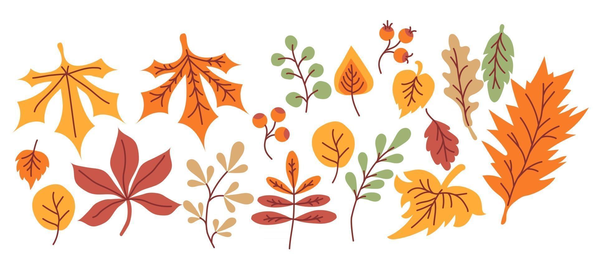 Vector set of autumn drawings. Colored various leaves and branches, berries, acorns and mushrooms, an umbrella and a cloud with rain. Use for fall design and decoration. Cozy bright autumn. isolated