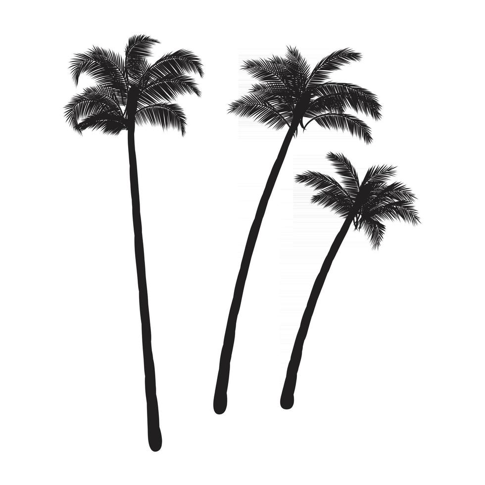 Coconut palm trees vector